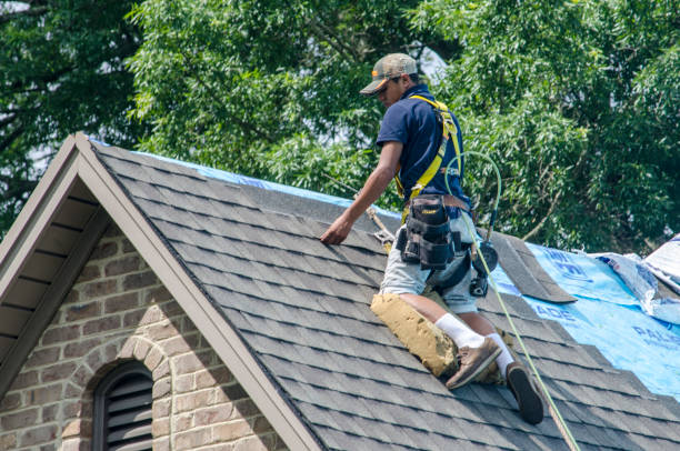 Best Shingle Roofing Installation  in West Crossett, AR